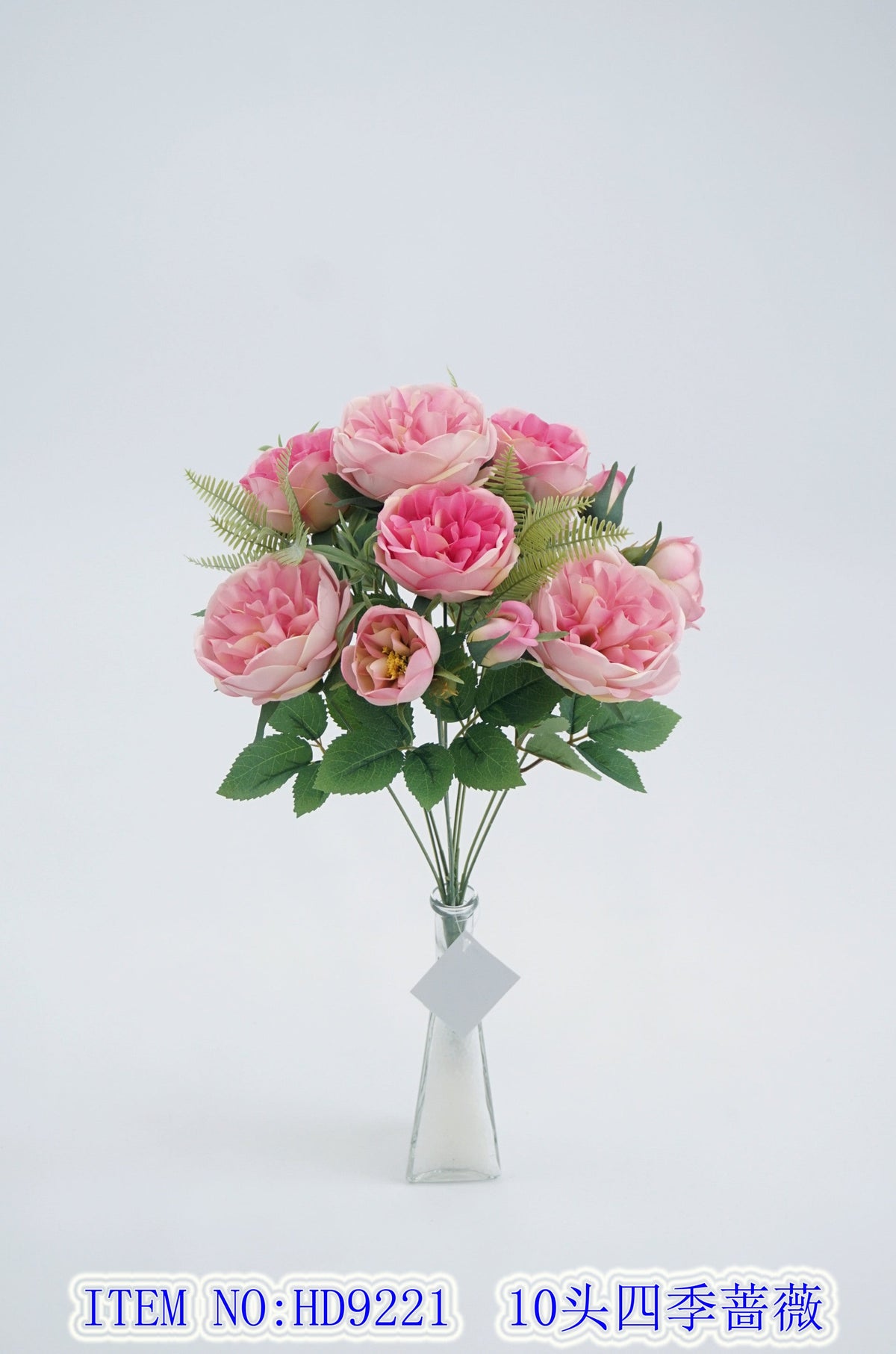 10 Four Seasons Rose