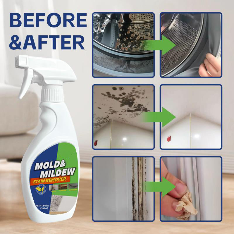 Eco-Friendly Mold Stain Remover