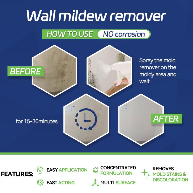 Eco-Friendly Mold Stain Remover