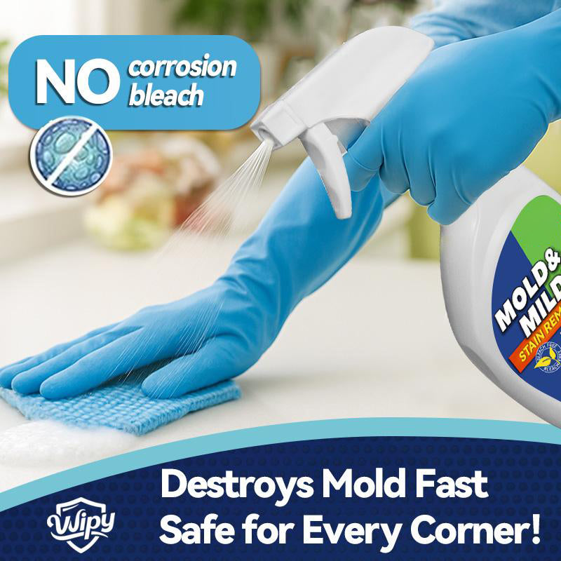 Eco-Friendly Mold Stain Remover