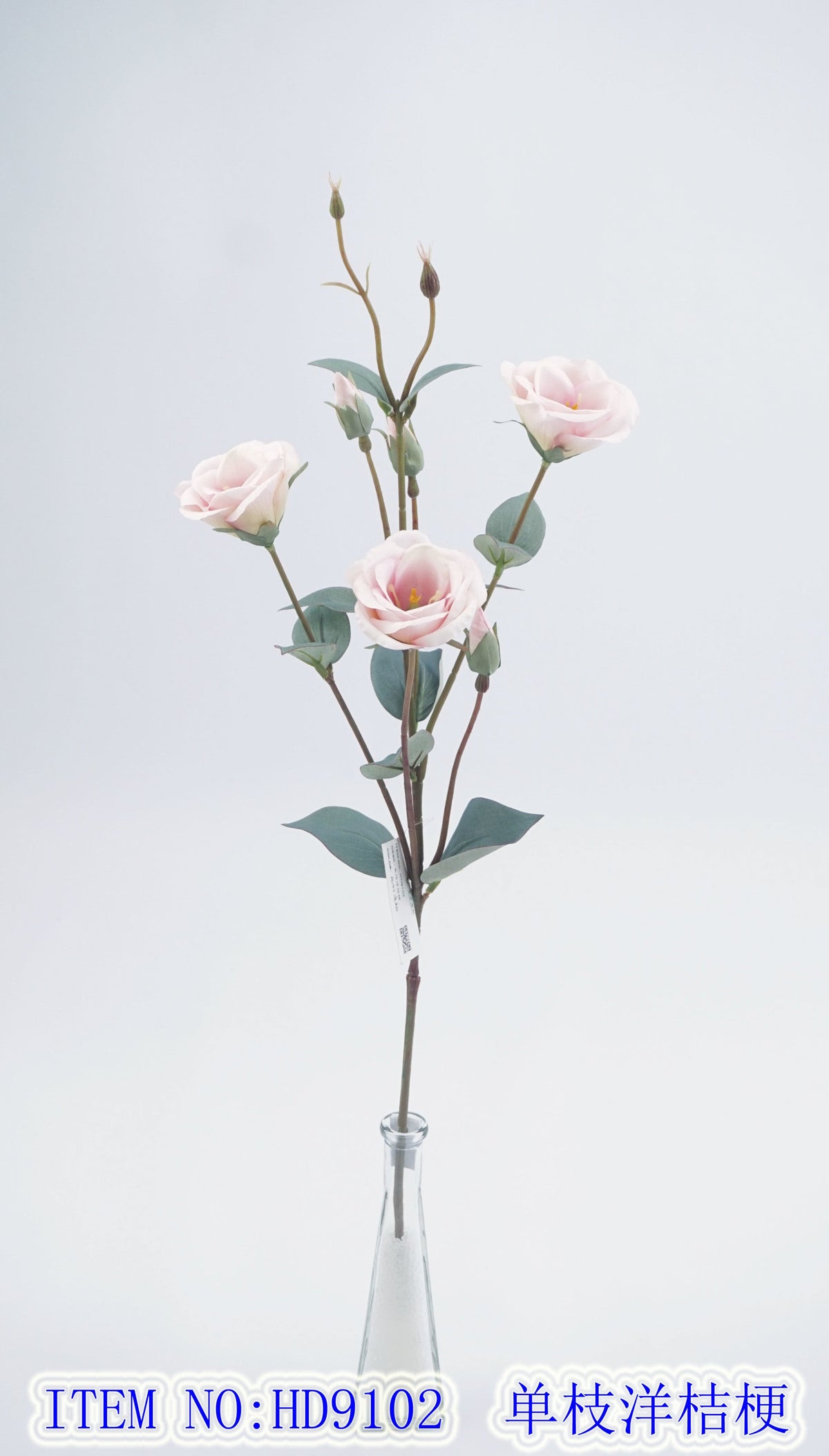 Eustoma grandiflorum