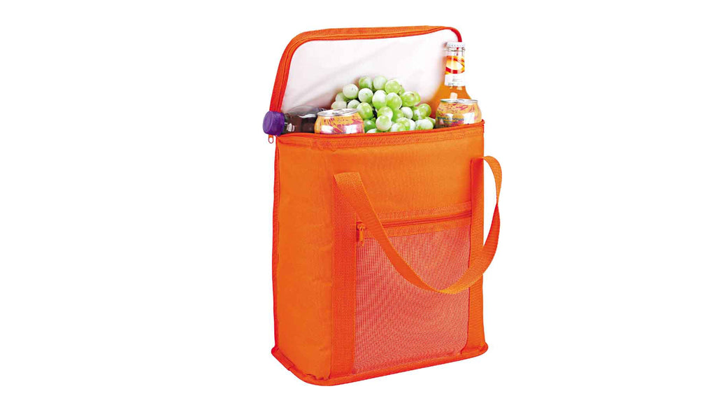 Picnic Cooler Bag Best Polyester Double Handle