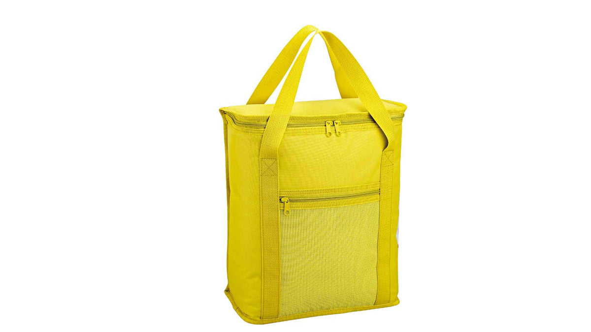Picnic Cooler Bag Best Polyester Double Handle