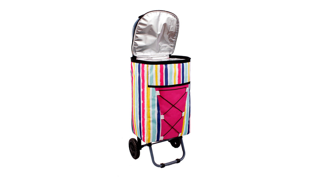 Picnic Cooler Bag Foldable Rolling Thermal Trolley
