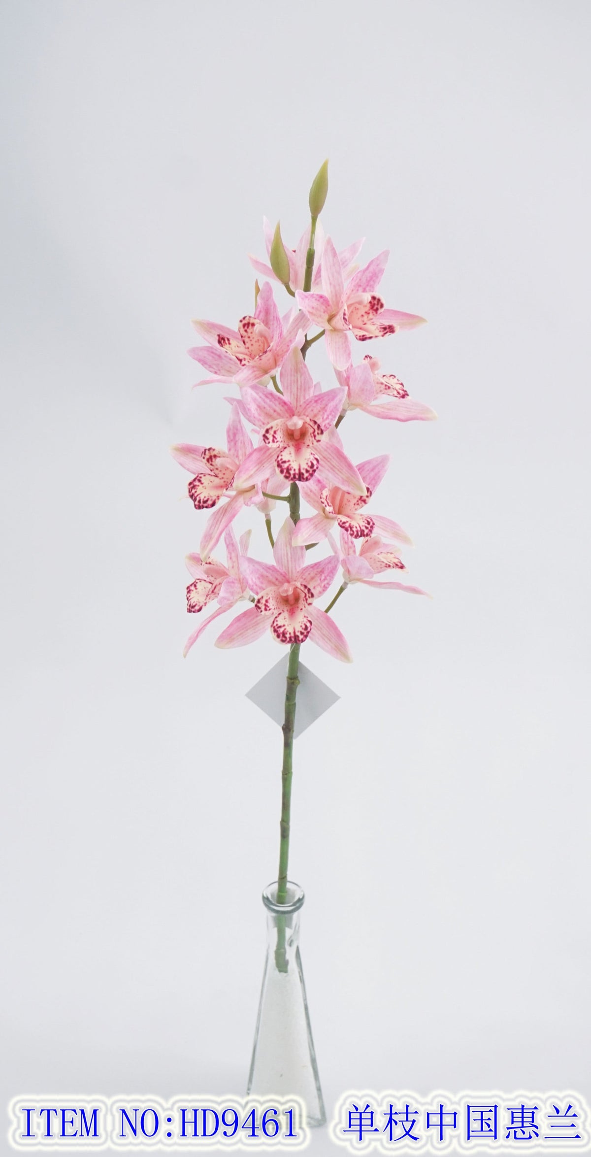 Single Branch China Whelan
