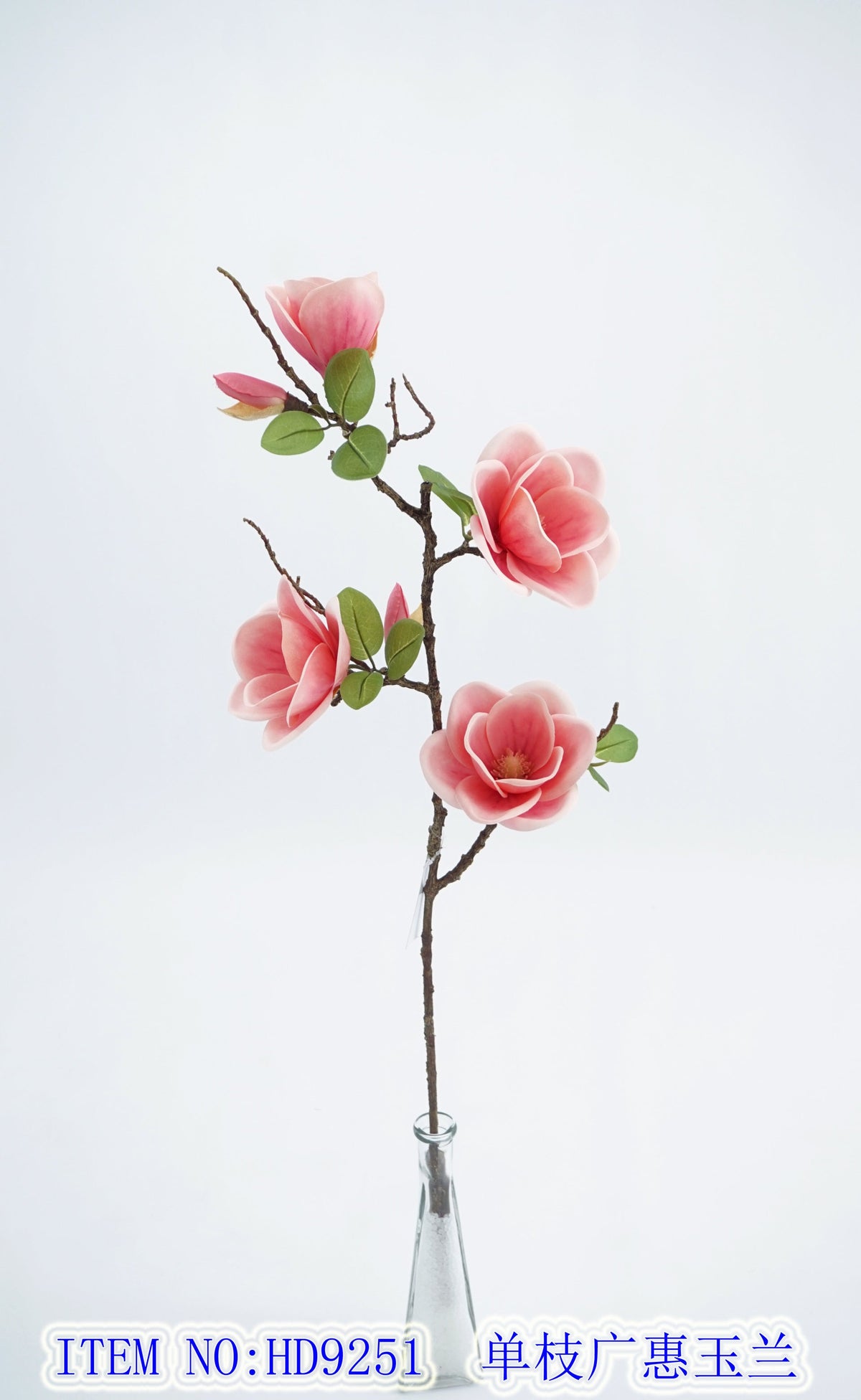 Single branch Guanghui Magnolia