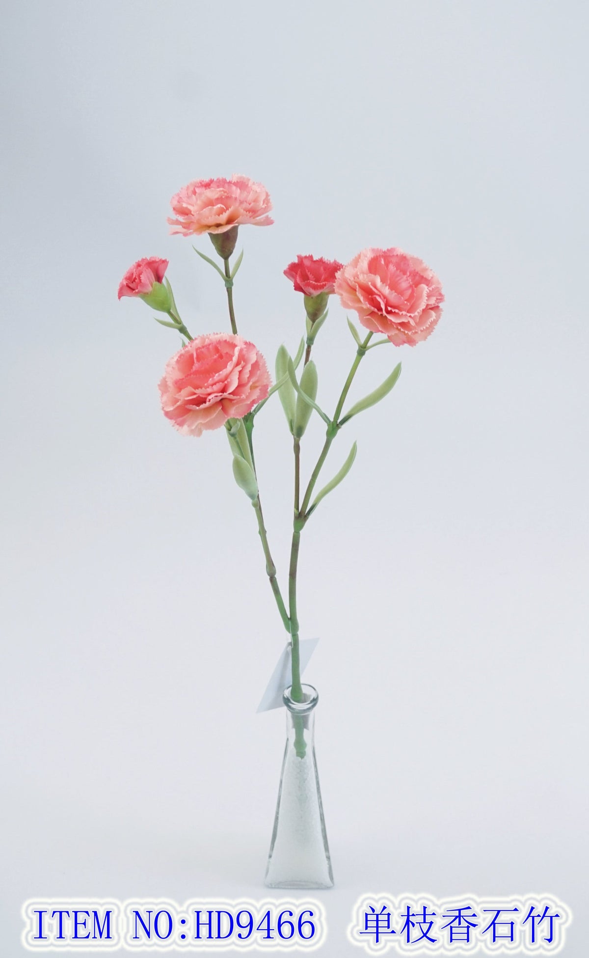 Single branch carnation