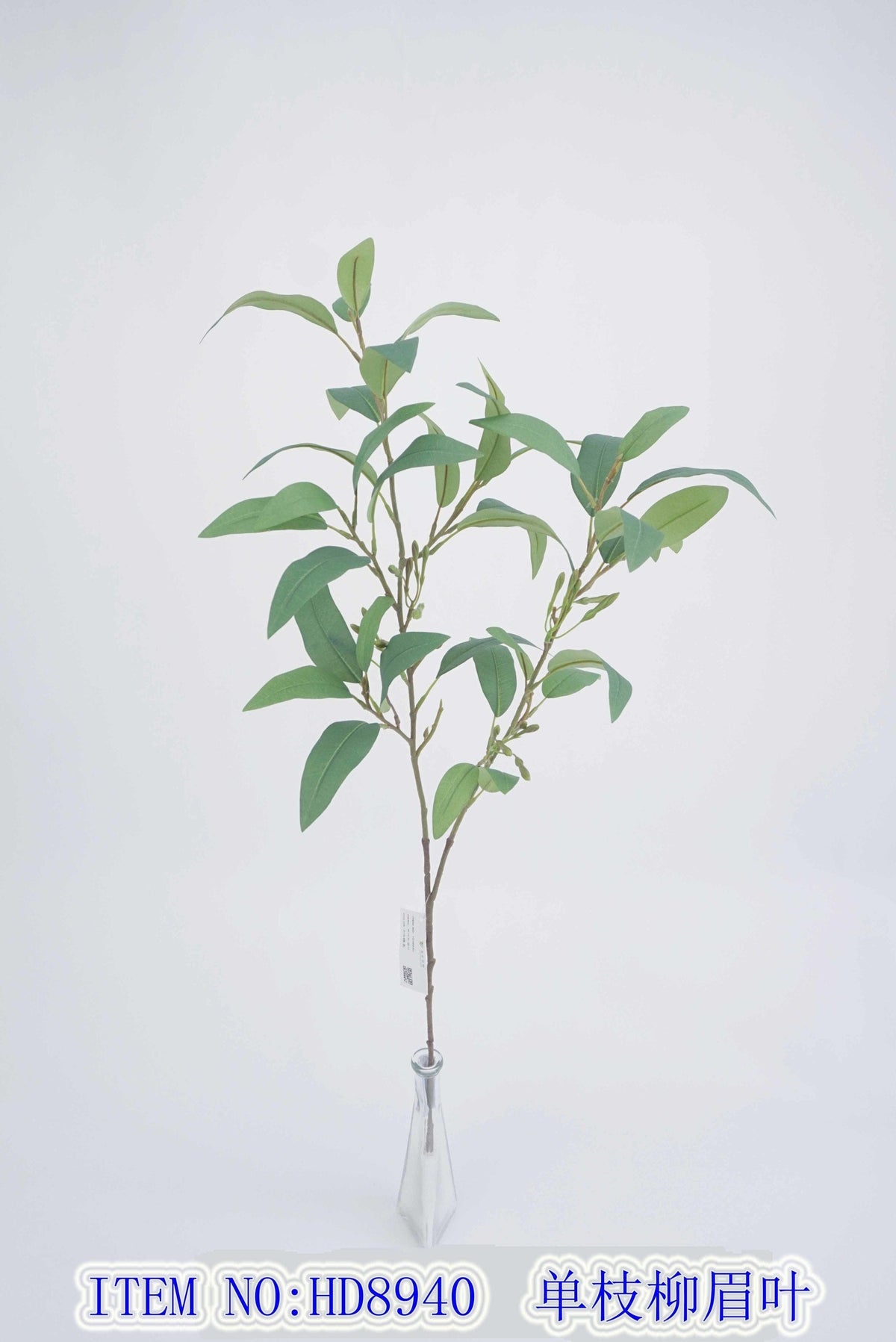Single branch eyebrow leaf