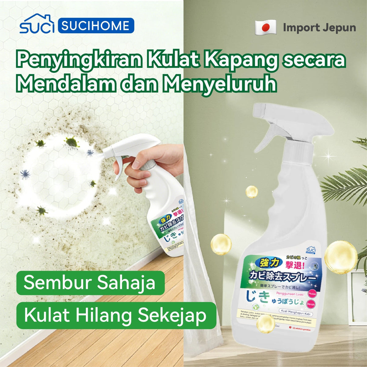 Mold Remover