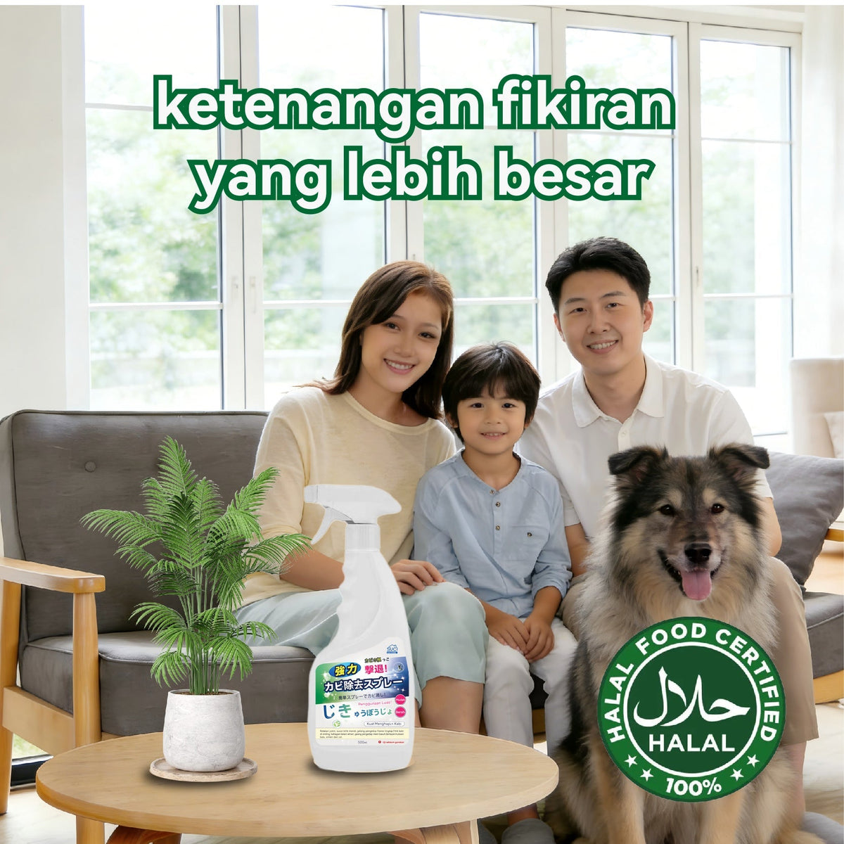Mold Remover