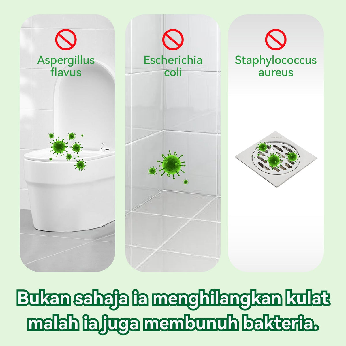 Mold Remover